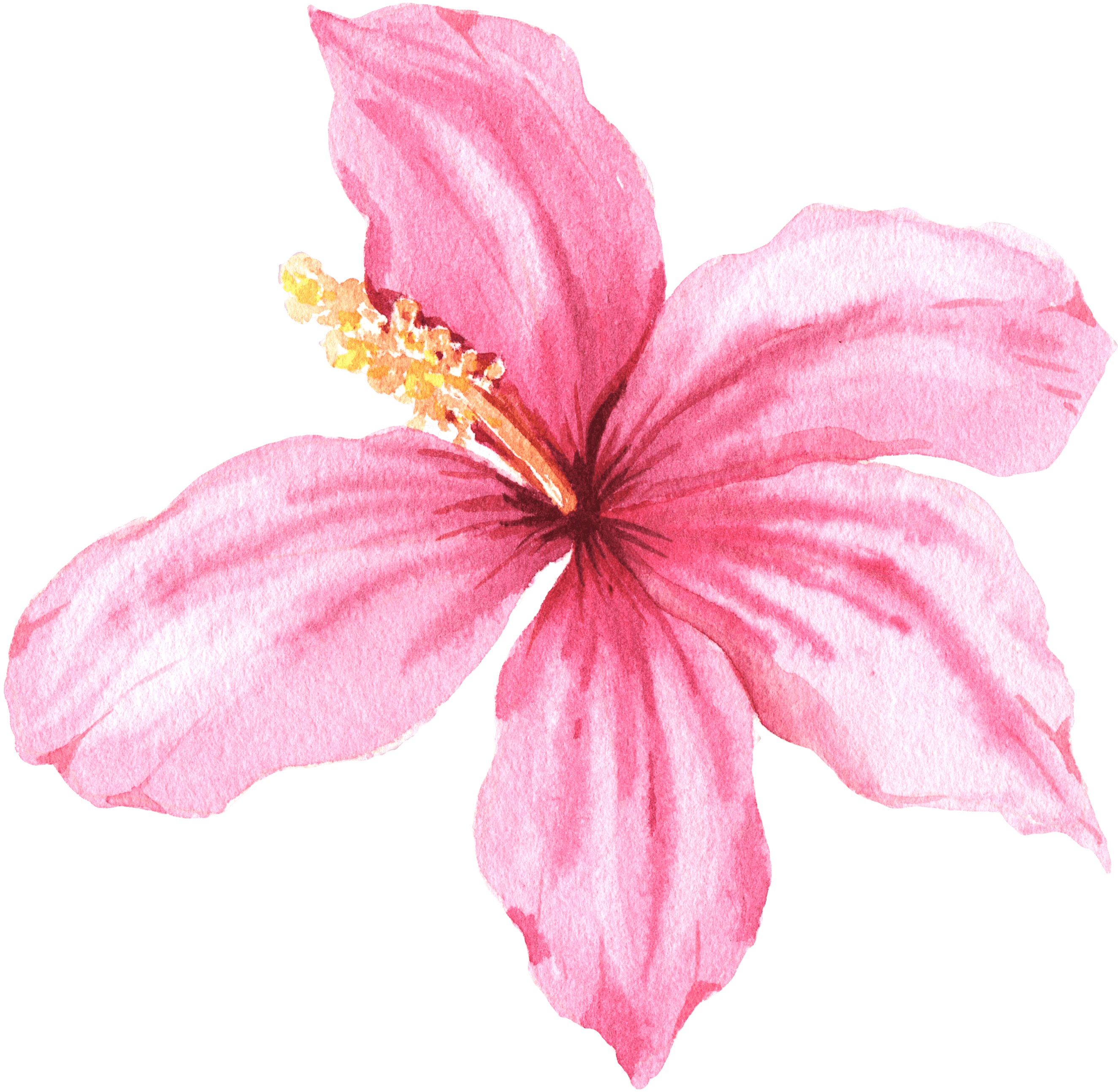 Flores 3
