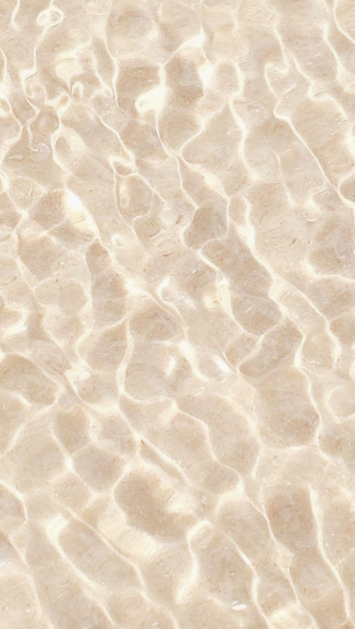 Fondo tropical
